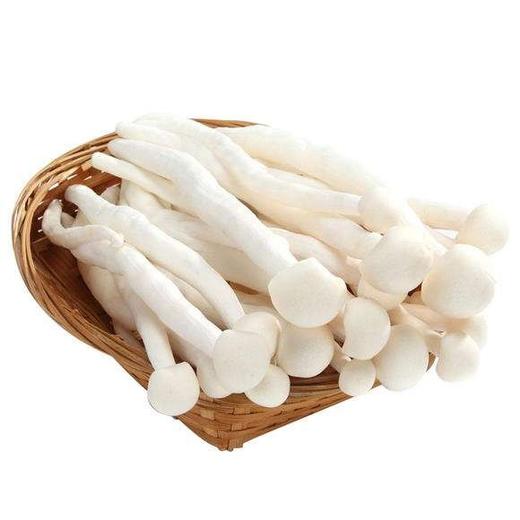 海鲜菇1袋2袋自选