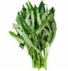 【时令蔬菜】空心菜400g±20g 商品缩略图2