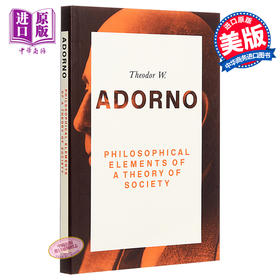 社会理论的哲学元素 Philosophical Elements  of A Theory  of Society 英文原版  Wiley