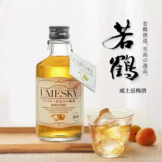 日本若鹤威士忌梅酒UMESKY24度300ml
 商品图0