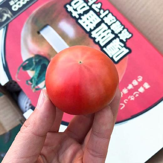 今日秒杀~【嘎啦小番茄】1斤/盒   多规格任选西红柿味道浓，胜过市面上所有西红柿   商品图2