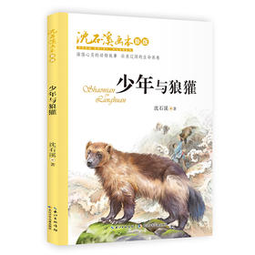 少年与狼獾