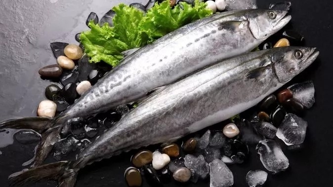 海南铺前马鲛鱼3斤装海南好礼特产新鲜海产海口自提冷链发货