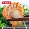 【海头渔夫】扇贝肉 500g*2产地直发 商品缩略图0