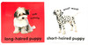 英文原版 Baby Touch and Feel Puppies DK儿童触摸纸板书 0-3岁 亲子互动游戏阅读绘本 认知识别动物启蒙 商品缩略图2