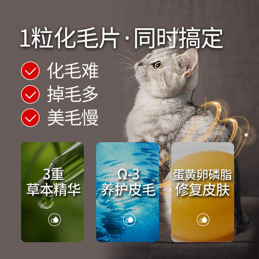 谷登复合维生素/化毛卵磷脂颗粒180g 商品图1