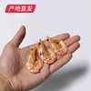 【海头渔夫】即食淡干烤虾 200g产地直发 商品缩略图1