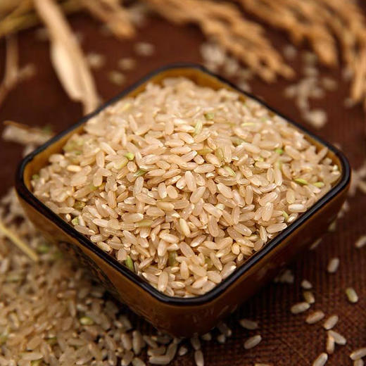 新疆察农胚芽鲜米 察布查尔一级糙米 大米 商品图0