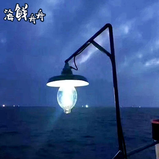 【野生】超低温  手钓小管 400g/盒 商品图3