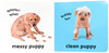 英文原版 Baby Touch and Feel Puppies DK儿童触摸纸板书 0-3岁 亲子互动游戏阅读绘本 认知识别动物启蒙 商品缩略图1