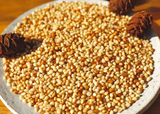 大兴安岭野生松仁
Pine Nuts 商品图2