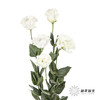 洋桔梗 | 白色 商品缩略图2