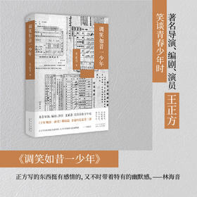 调笑如昔一少年