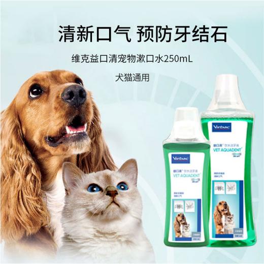 【维克】漱口水猫狗益口清去口臭牙垢宠物牙结石猫狗口腔清洁用品