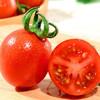 露天甜贝贝小番茄，清甜可口，一口爆汁！ 商品缩略图1