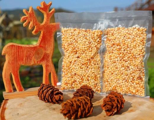 大兴安岭野生松仁
Pine Nuts 商品图3