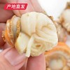 【海头渔夫】扇贝肉 500g*2产地直发 商品缩略图1