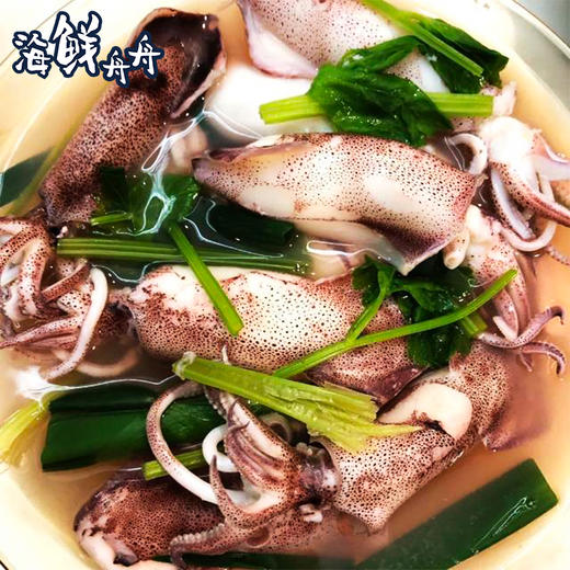 【野生】超低温  手钓小管 400g/盒 商品图6