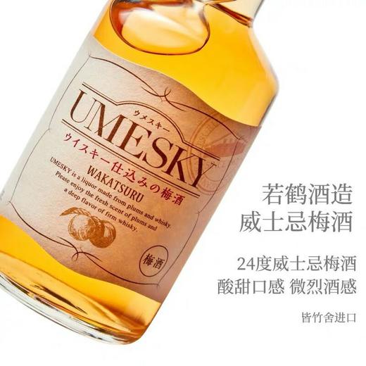 日本若鹤威士忌梅酒UMESKY24度300ml
 商品图1