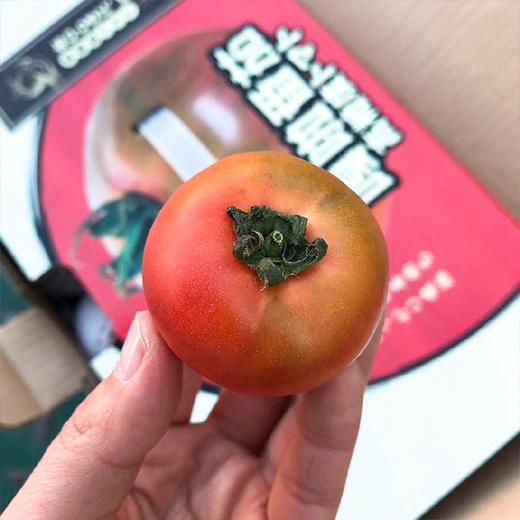 今日秒杀~【嘎啦小番茄】1斤/盒   多规格任选西红柿味道浓，胜过市面上所有西红柿   商品图1