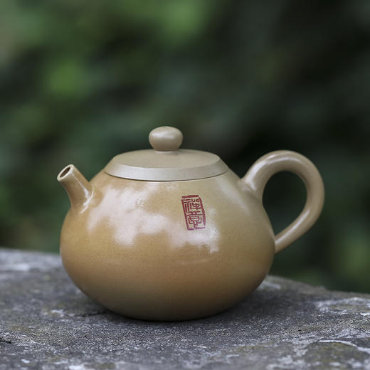 范程柏 壶 商品图1