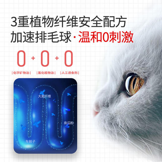 谷登复合维生素/化毛卵磷脂颗粒180g 商品图2