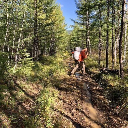 大兴安岭野生松仁
Pine Nuts 商品图4