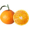 四川·爱媛38号果冻橙 新鲜手剥甜橙 现摘现发 当季水果 整箱包邮 商品缩略图4