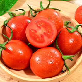 【5斤送半斤】露天甜贝贝小番茄，清甜可口，一口爆汁！