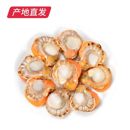 【海头渔夫】扇贝肉 500g*2产地直发 商品图4