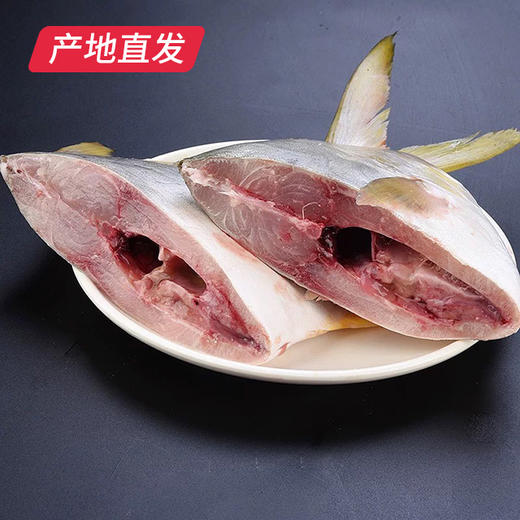 【海头渔夫】速鲜深海大金鲳鱼 约400-500g/条*3产地直发 商品图1