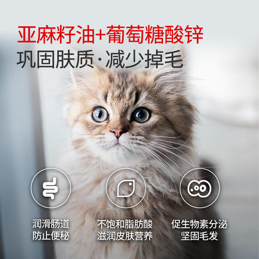 谷登复合维生素/化毛卵磷脂颗粒180g 商品图3