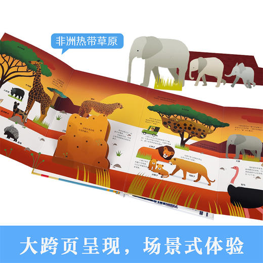 宝宝玩英语商城-乐乐趣-小手忙不停 有趣的野生动物 商品图2