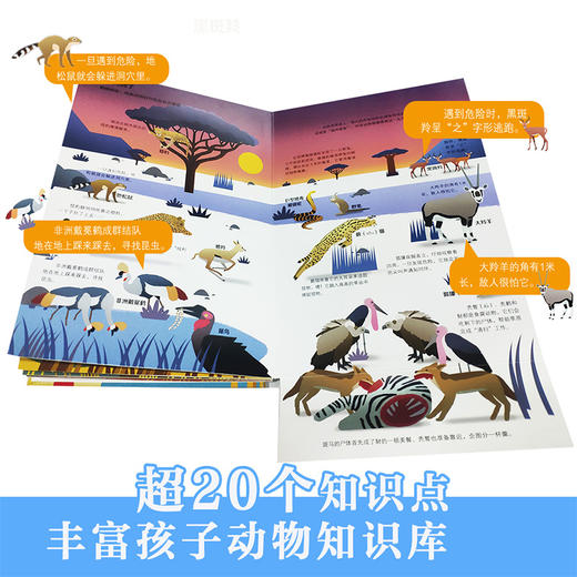 宝宝玩英语商城-乐乐趣-小手忙不停 有趣的野生动物 商品图4