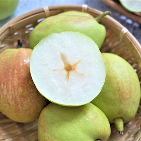 #2月6日至16日暂不发货#【新疆贡品】库尔勒香梨 新鲜当季 脆嫩爽口 汁多无渣 清甜滋润 秋天也不干燥