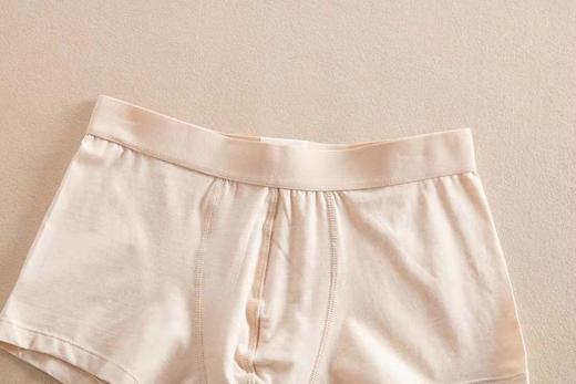 【自营】有机棉男平角裤（棕色） 商品图1