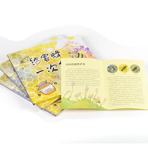 给蜜蜂一次机会（奇想国当代精选） 商品图1