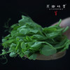 生态豌豆尖（农场直发-顺丰包邮） | 1.5斤装，来自成都郫都区 商品缩略图1