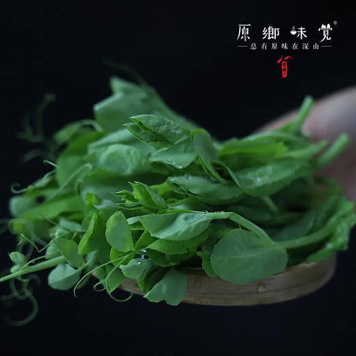 生态豌豆尖（农场直发-顺丰包邮） | 1.5斤装，来自成都郫都区 商品图1