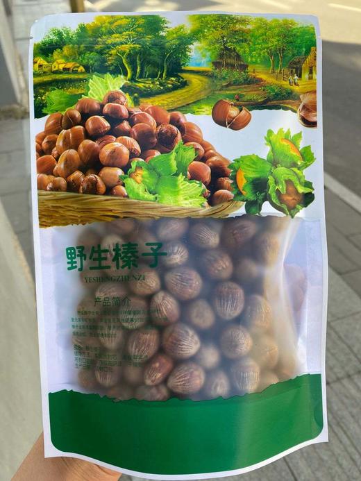 正宗长白山⛰️天然野生超香榛子 商品图2