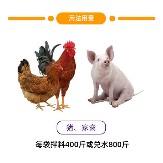 广州汇鑫硫酸新霉素可溶性粉猪牛羊鸡禽鸡白痢拉稀大肠杆菌100g