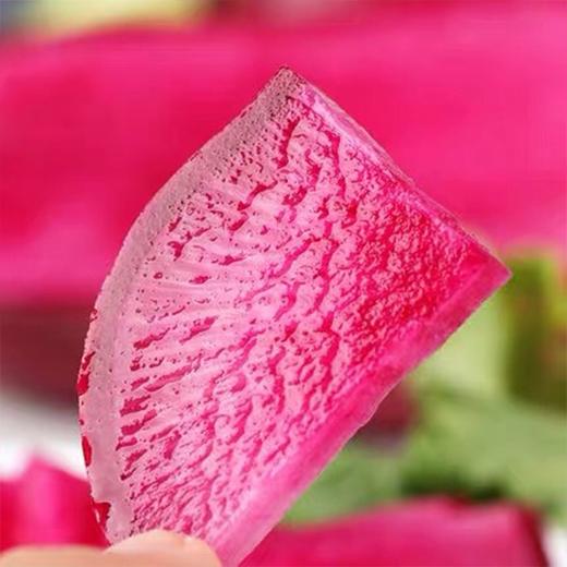 【紫美人萝卜】约5.2斤/箱，甜、脆、鲜，水果萝卜 商品图1