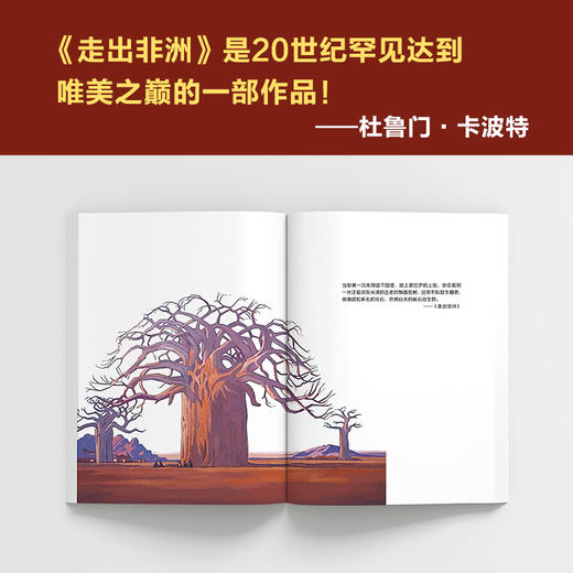 走出非洲（一直想换一种活法？去过《走出非洲》那样自由而狂野的一生！海明威：世界欠这个女人一个诺贝尔奖） 商品图8