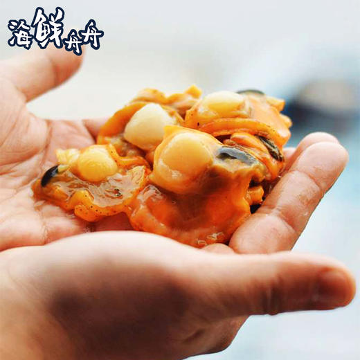 【养殖】超低温 活撬黄金扇贝肉（含裙边） 250g/盒 商品图1