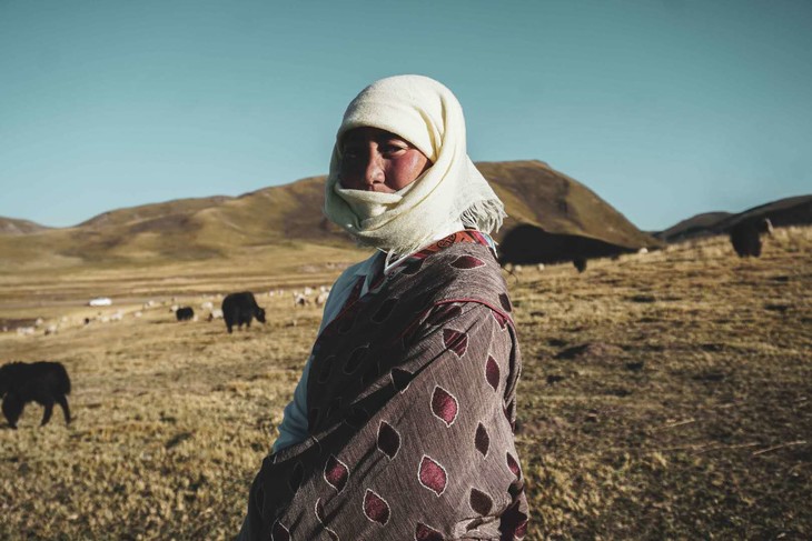 青海常牧镇牧民家的优质牦牛肉清水煮就很好吃