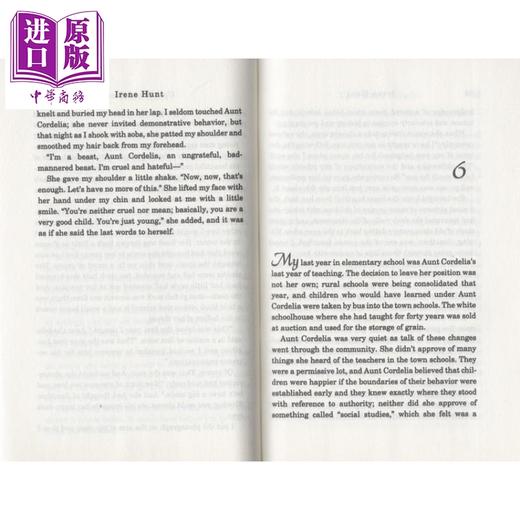 【中商原版】纽伯瑞：在路上漫步 纽伯瑞金奖 Up a Road Slowly 获奖作品 儿童文学故事插图小说 平装 英文原版 7-12岁 商品图2