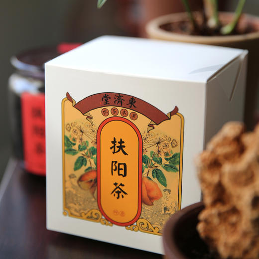 东济堂扶阳茶普洱陈皮生姜调味茶