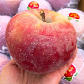 【新疆阿克苏冰糖心苹果】5.8斤/箱，精品果