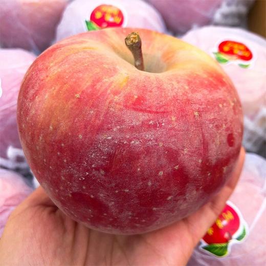 【新疆阿克苏冰糖心苹果】5.8斤/箱，精品果 商品图0