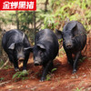 壹号餐桌金蝉T9大别山散养土猪五花肉 500g冻品～ 商品缩略图2